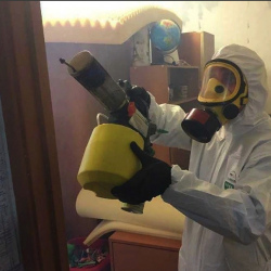 Уничтожение клопов в квартире. Войковский район
